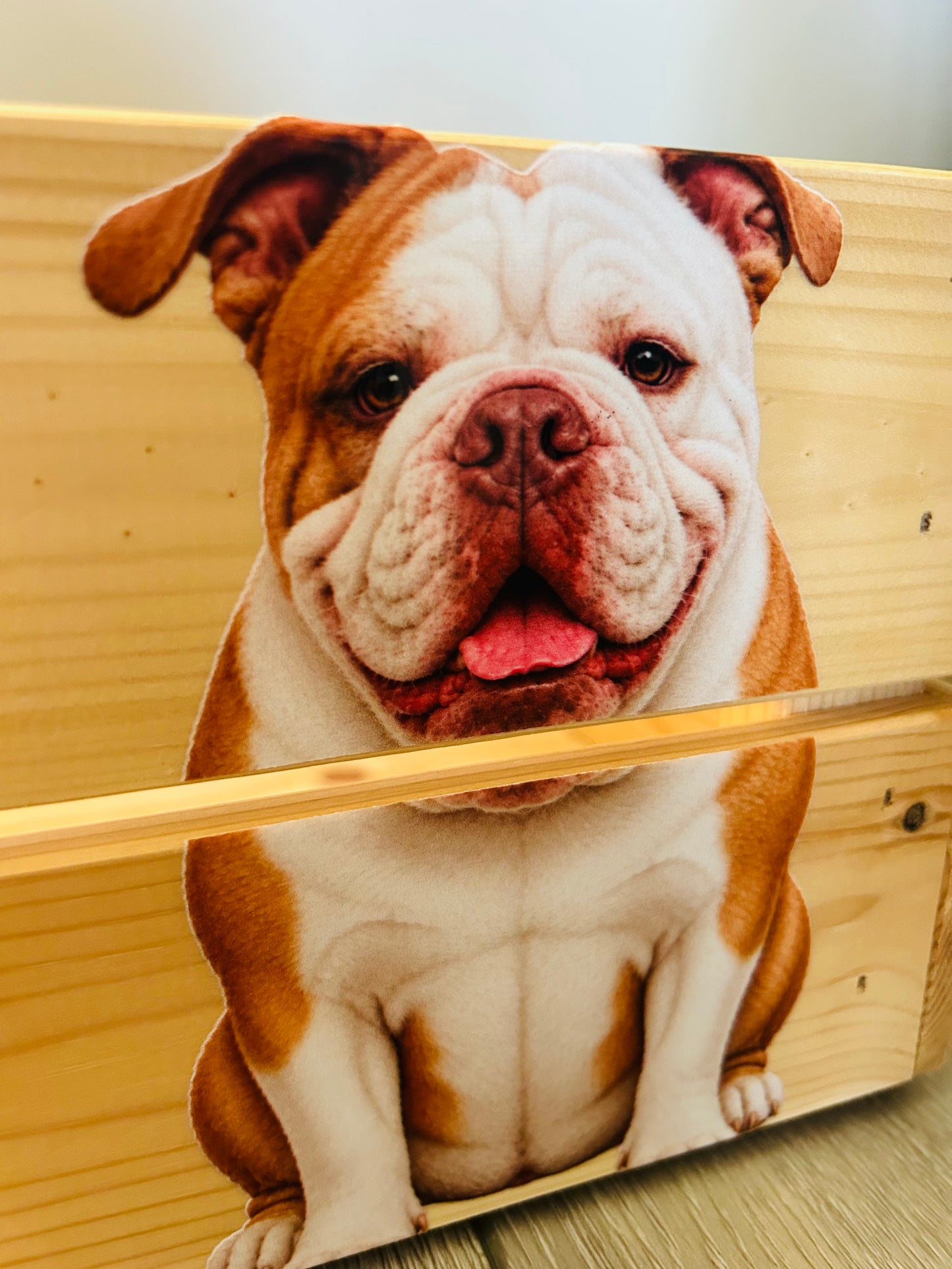 Personalised Pet Photo Wooden Toy Box