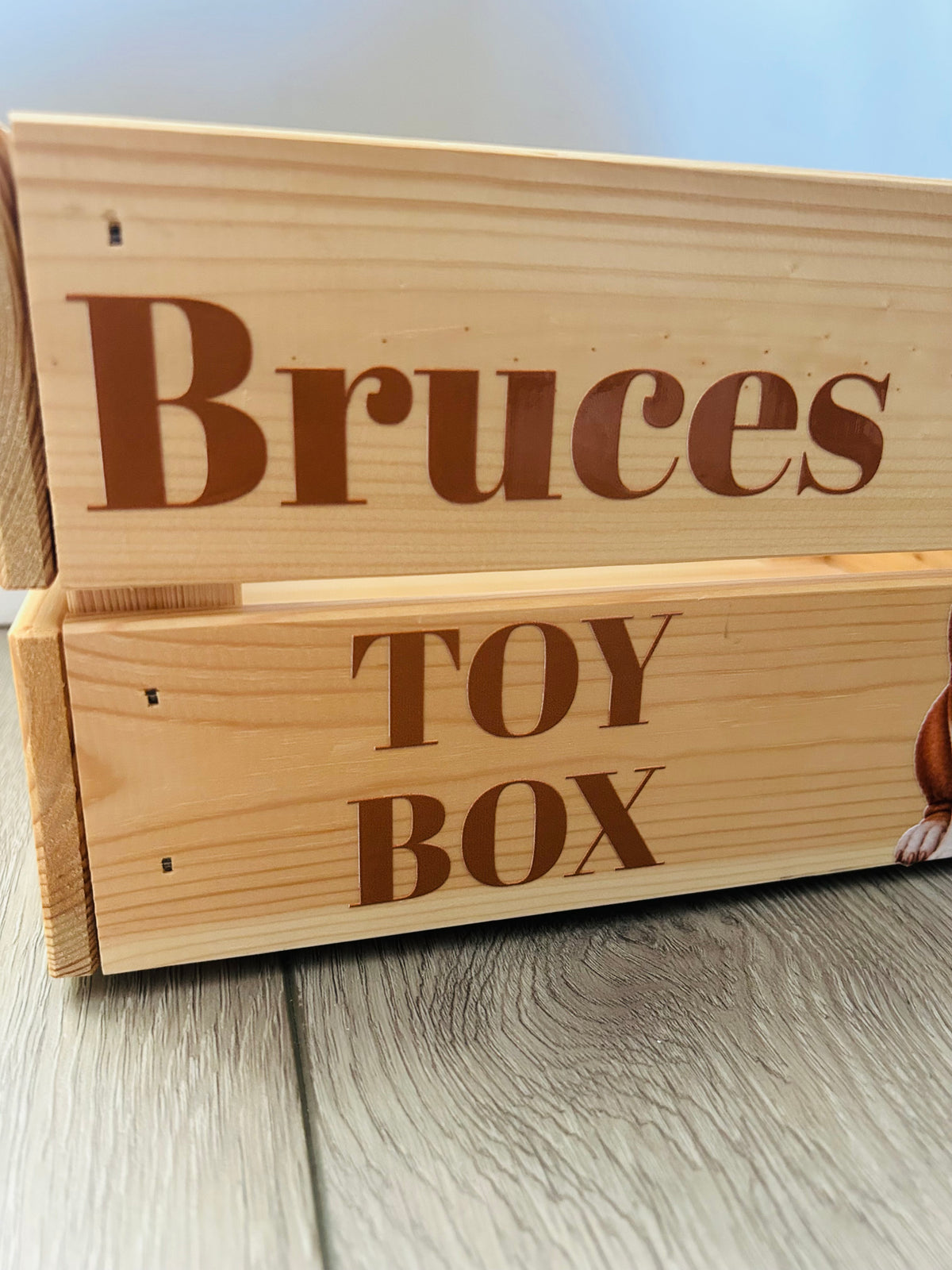 Personalised Pet Photo Wooden Toy Box